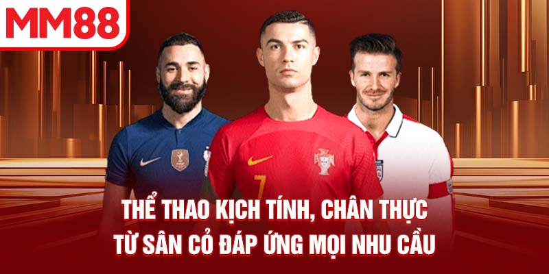 Thể thao kịch tính, chân thực từ sân cỏ đáp ứng mọi nhu cầu